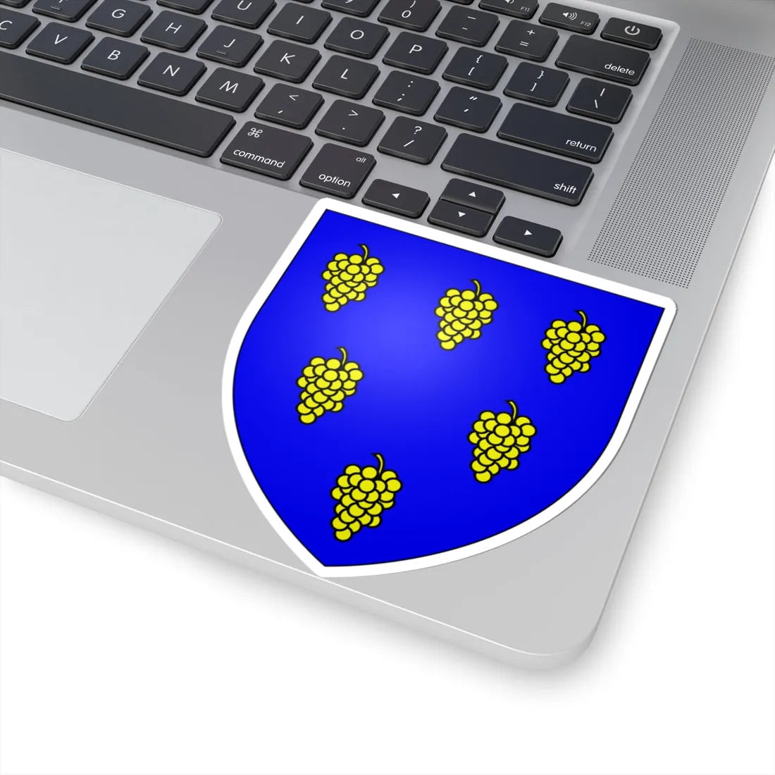 Coat of arms of the House of Bardi from Colle Florence Pisa Tuscany Italy (Italy) (Coat of Arms) STICKER Vinyl Kiss-Cut Decal - The Sticker Space
