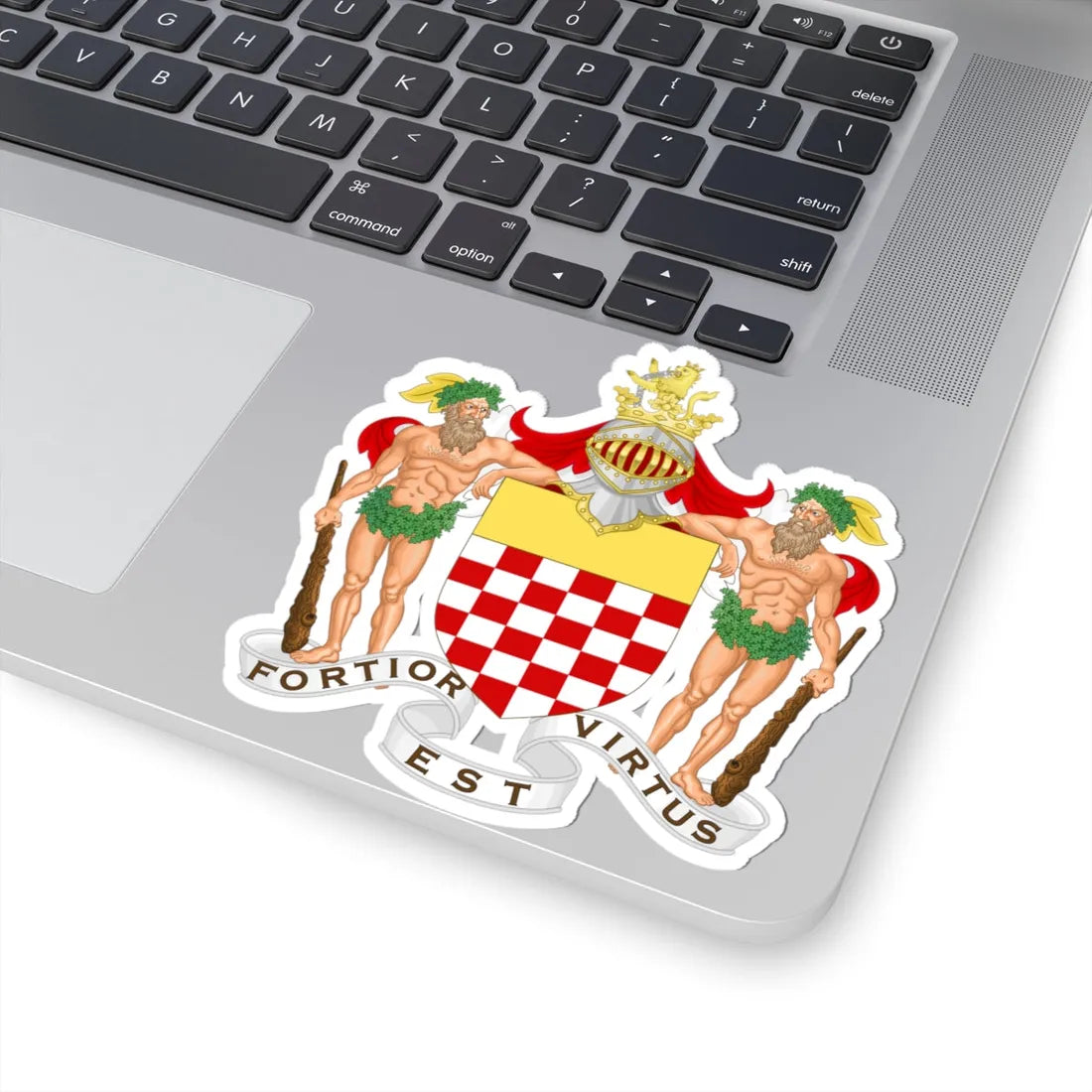 Coat of Arms of the Redivo family (Italy) (Coat of Arms) STICKER Vinyl Kiss-Cut Decal - The Sticker Space