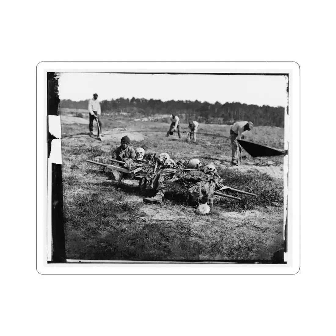 Cold Harbor, Va. African Americans Collecting Bones of Soldiers Killed in the Battle (U.S. Civil War) STICKER Vinyl Kiss-Cut Decal 6 Inch White - The Sticker Space