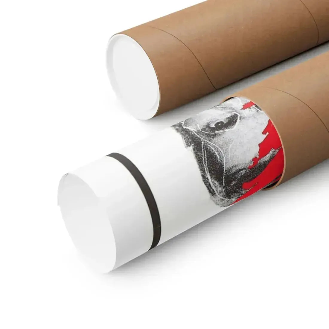 COLOR ME DEAD 1969 - Paper Movie Poster - The Sticker Space