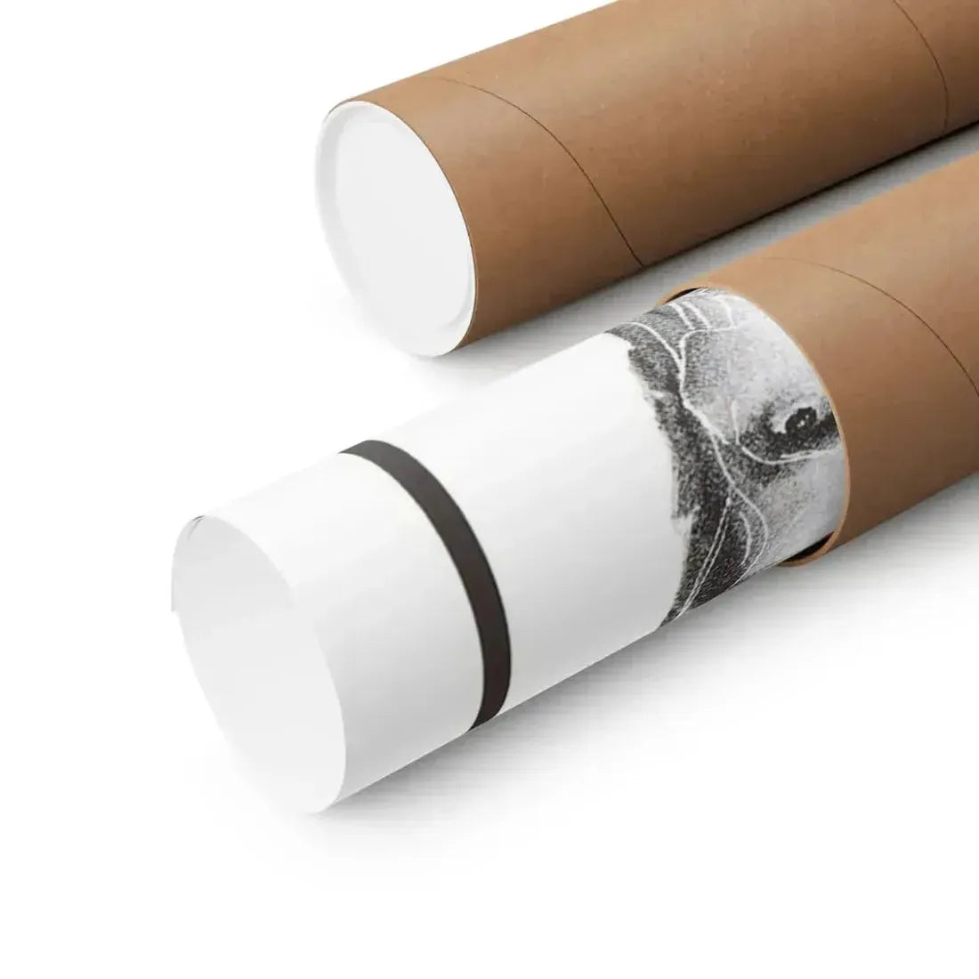 COLOR ME DEAD 1969 - Paper Movie Poster - The Sticker Space