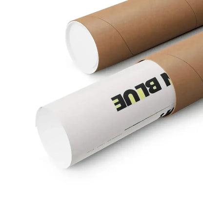 COME BACK, CHARLESTON BLUE 1972 - Paper Movie Poster - The Sticker Space