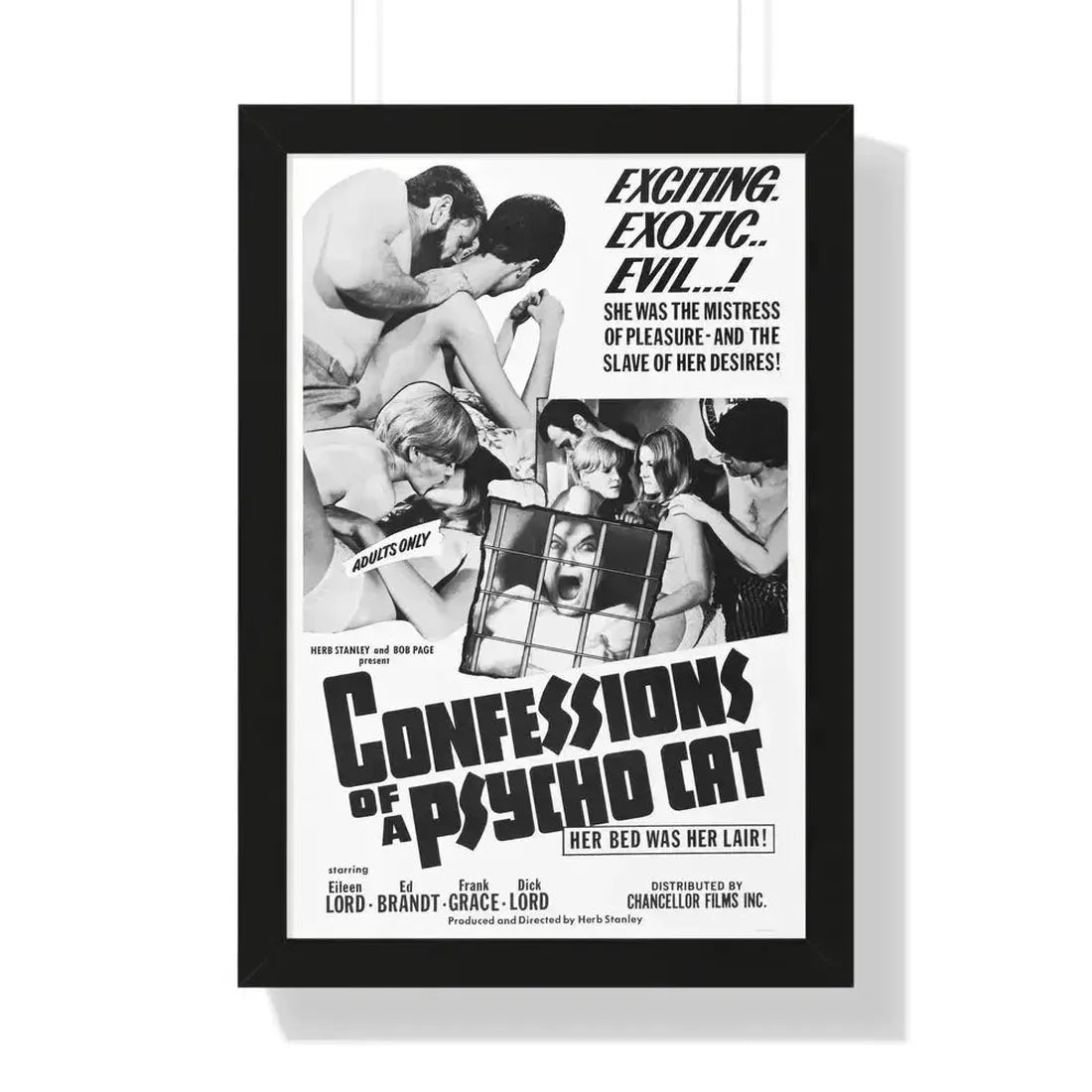 CONFESSIONS OF A PSYCHO CAT 1968 - Framed Movie Poster 16″ x 24″ Black - The Sticker Space