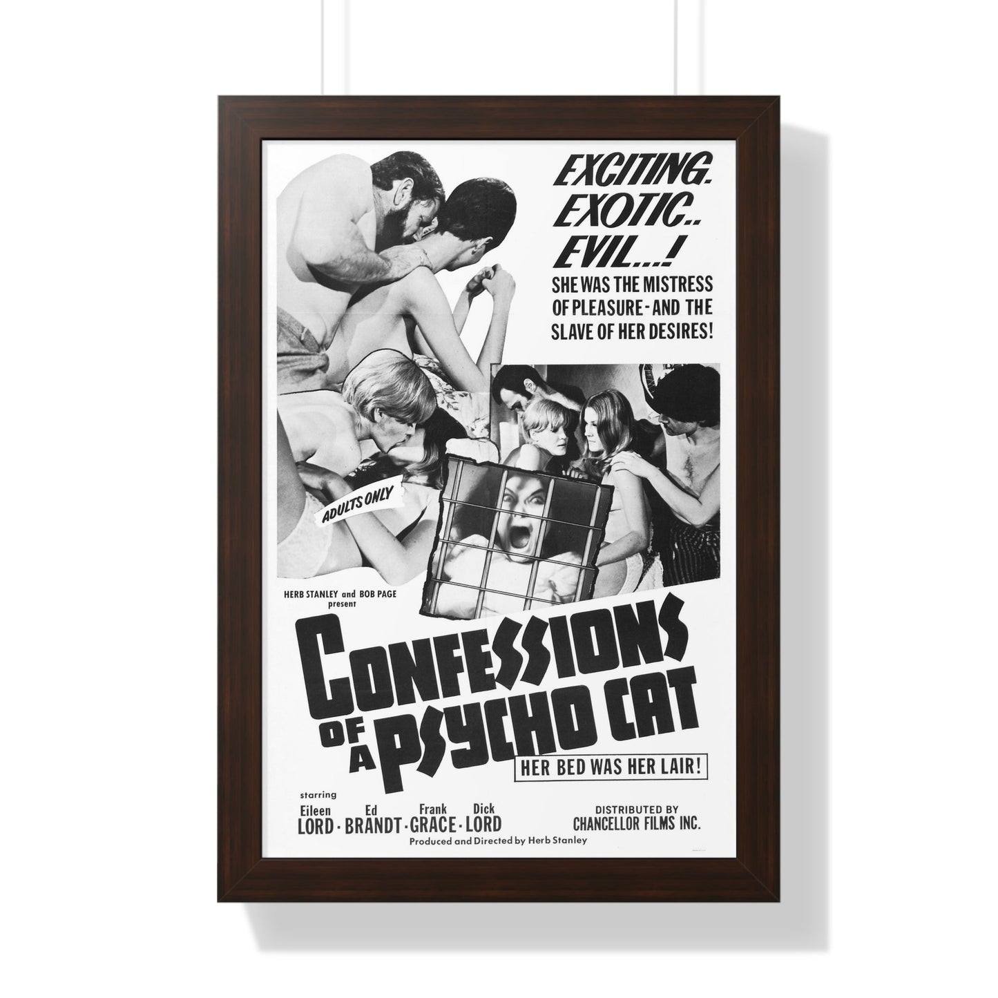 CONFESSIONS OF A PSYCHO CAT 1968 - Framed Movie Poster-16″ x 24″-The Sticker Space