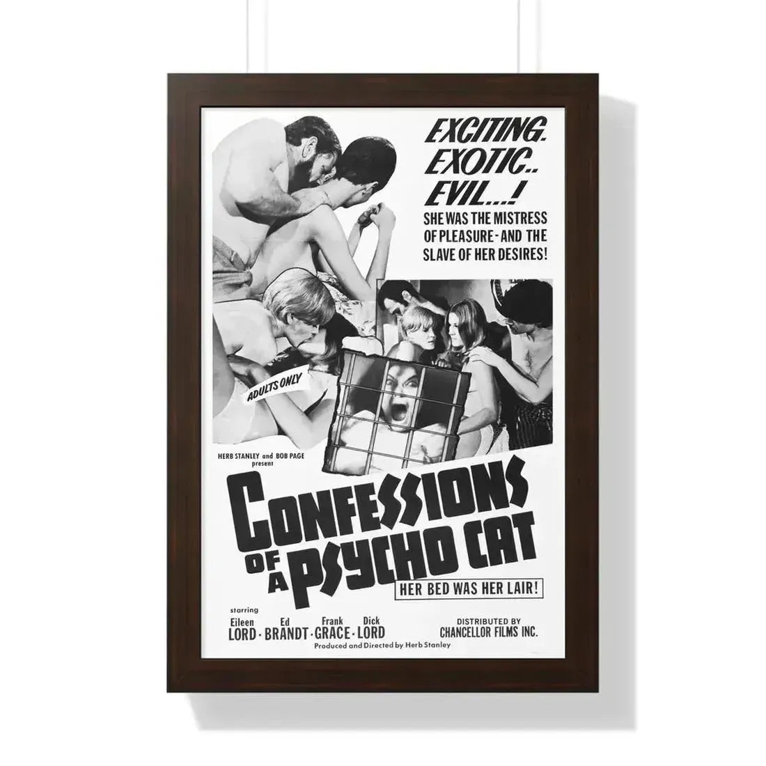 CONFESSIONS OF A PSYCHO CAT 1968 - Framed Movie Poster 16″ x 24″ Walnut - The Sticker Space