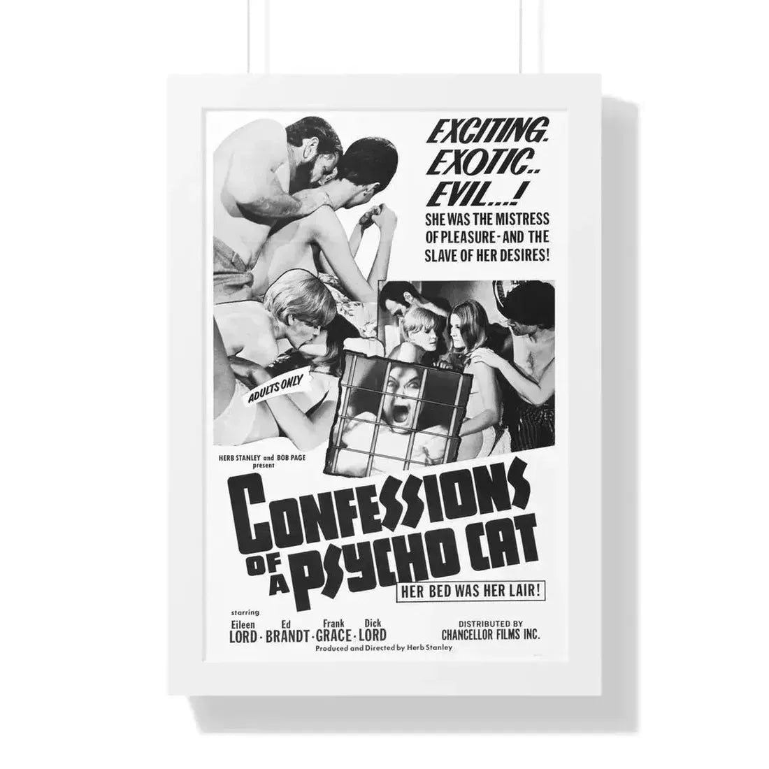 CONFESSIONS OF A PSYCHO CAT 1968 - Framed Movie Poster 16″ x 24″ White - The Sticker Space