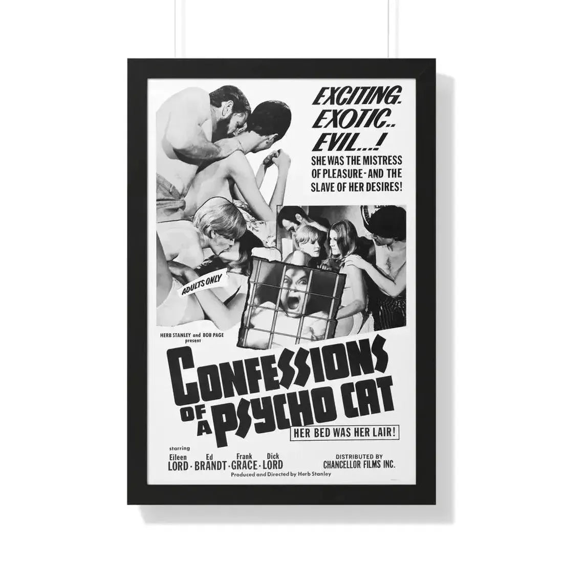 CONFESSIONS OF A PSYCHO CAT 1968 - Framed Movie Poster 20" x 30" Black - The Sticker Space