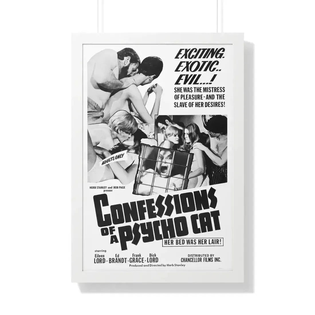 CONFESSIONS OF A PSYCHO CAT 1968 - Framed Movie Poster 20" x 30" White - The Sticker Space