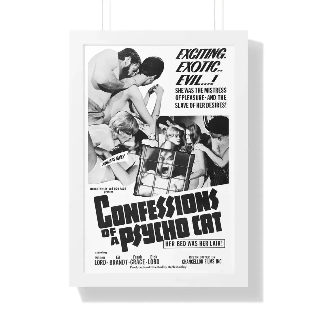 CONFESSIONS OF A PSYCHO CAT 1968 - Framed Movie Poster - The Sticker Space