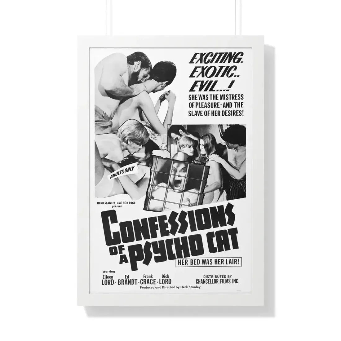 CONFESSIONS OF A PSYCHO CAT 1968 - Framed Movie Poster - The Sticker Space