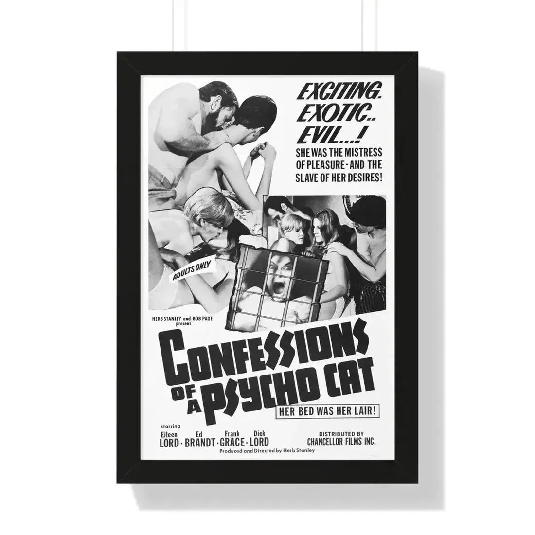 CONFESSIONS OF A PSYCHO CAT 1968 - Framed Movie Poster - The Sticker Space