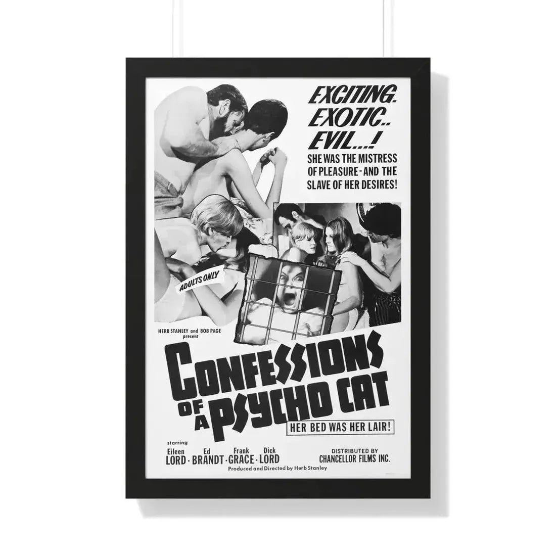 CONFESSIONS OF A PSYCHO CAT 1968 - Framed Movie Poster - The Sticker Space