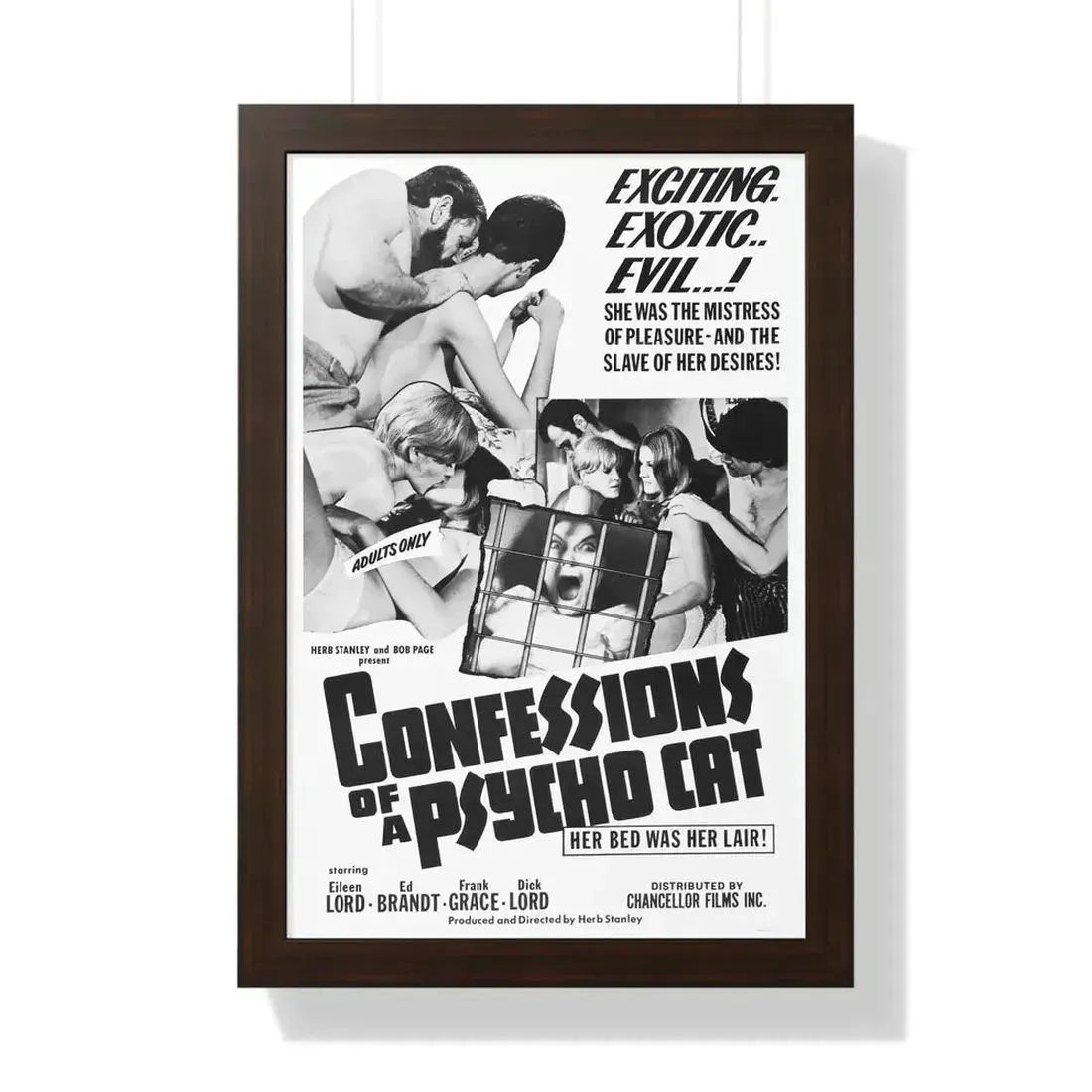 CONFESSIONS OF A PSYCHO CAT 1968 - Framed Movie Poster - The Sticker Space