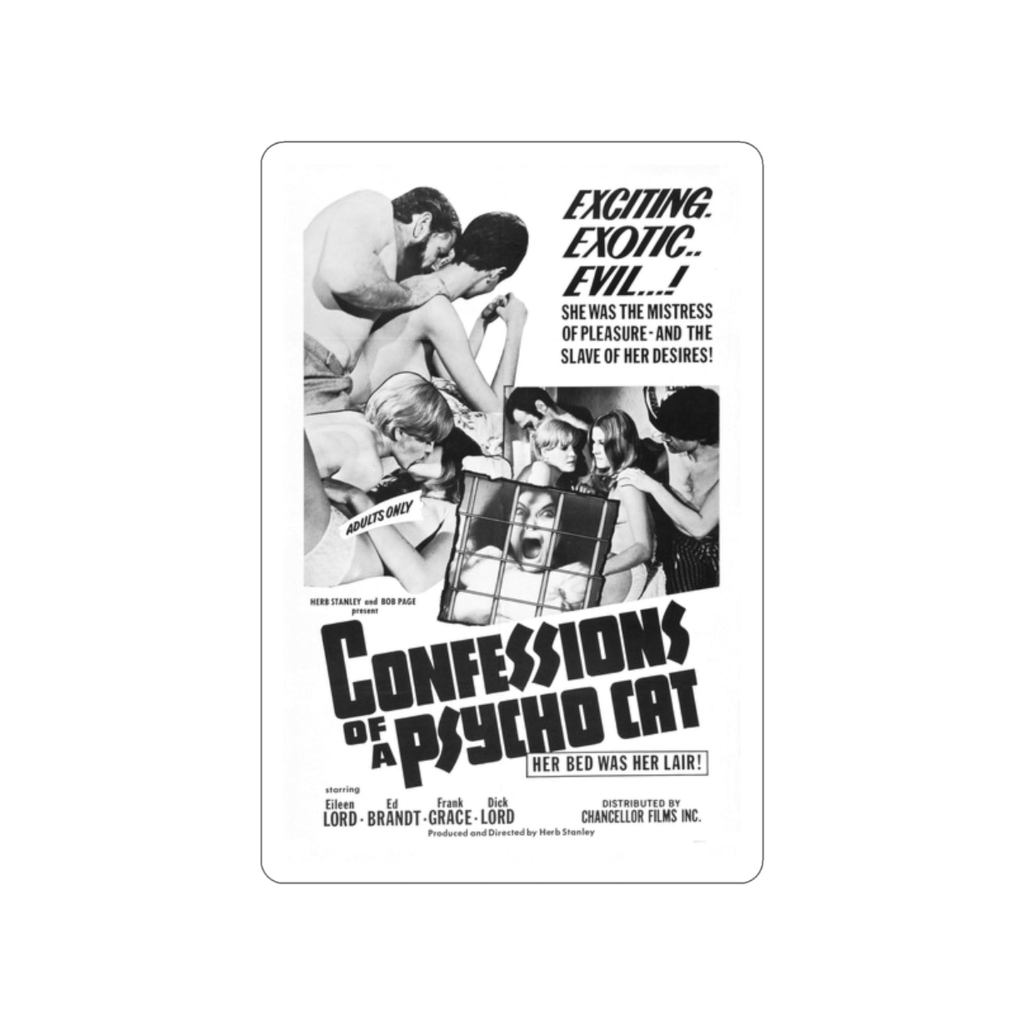 CONFESSIONS OF A PSYCHO CAT 1968 Movie Poster STICKER Vinyl Die-Cut Decal-2 Inch-The Sticker Space