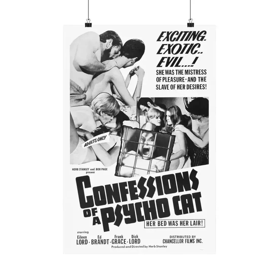 CONFESSIONS OF A PSYCHO CAT 1968 - Paper Movie Poster 16″ x 24″ Matte - The Sticker Space