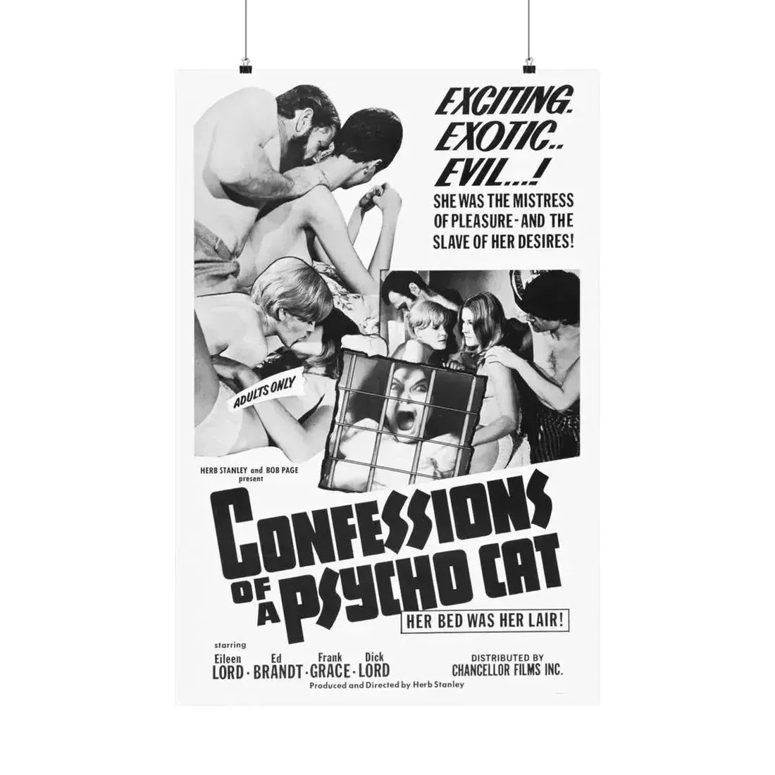 CONFESSIONS OF A PSYCHO CAT 1968 - Paper Movie Poster 24″ x 36″ Matte - The Sticker Space