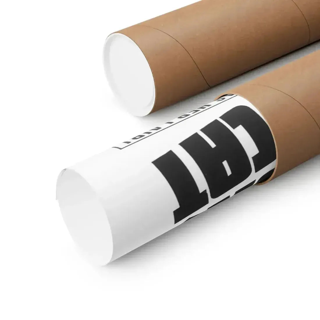 CONFESSIONS OF A PSYCHO CAT 1968 - Paper Movie Poster - The Sticker Space