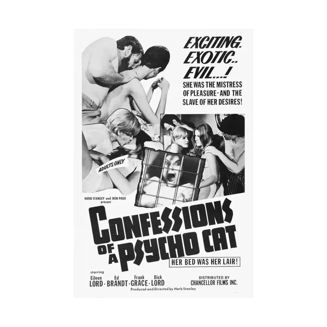 CONFESSIONS OF A PSYCHO CAT 1968 - Paper Movie Poster - The Sticker Space