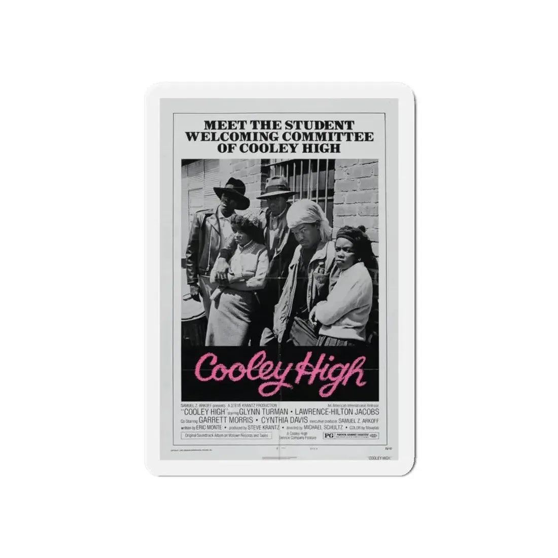 COOLEY HIGH (3) 1975 Movie Poster - Refrigerator Magnet 6 Inch - The Sticker Space