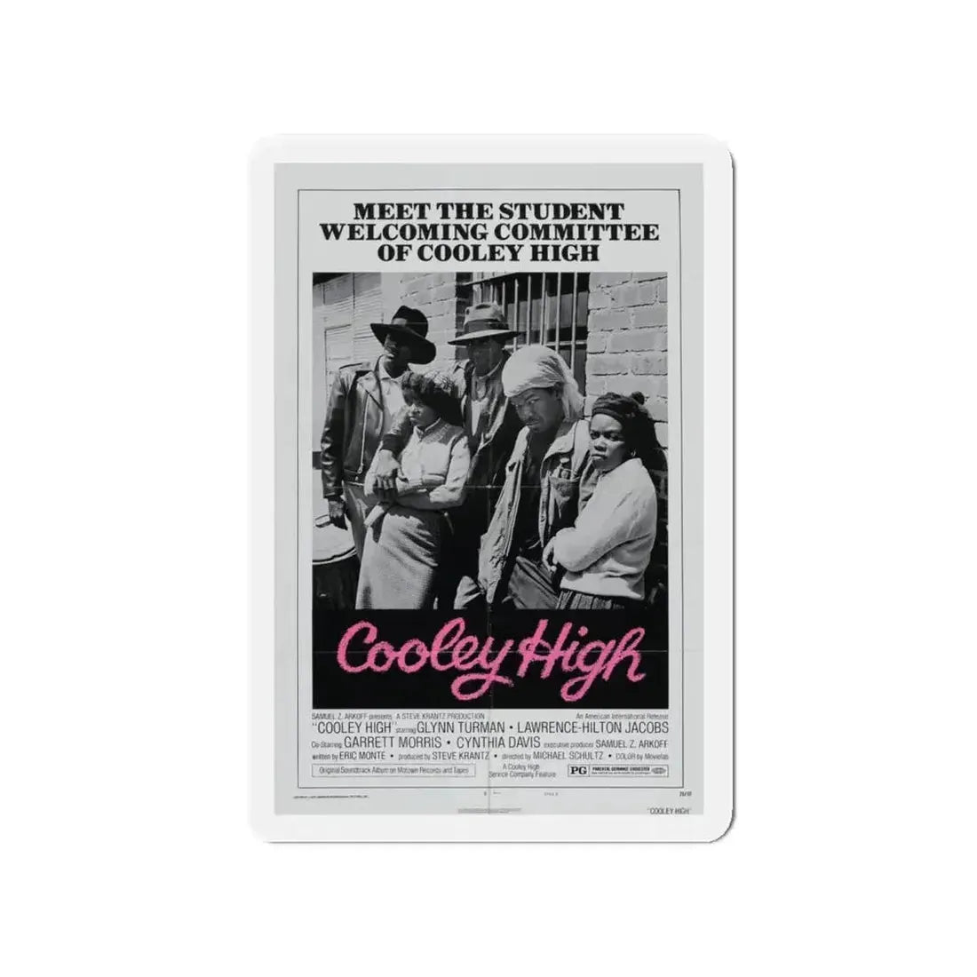 COOLEY HIGH (3) 1975 Movie Poster - Refrigerator Magnet - The Sticker Space