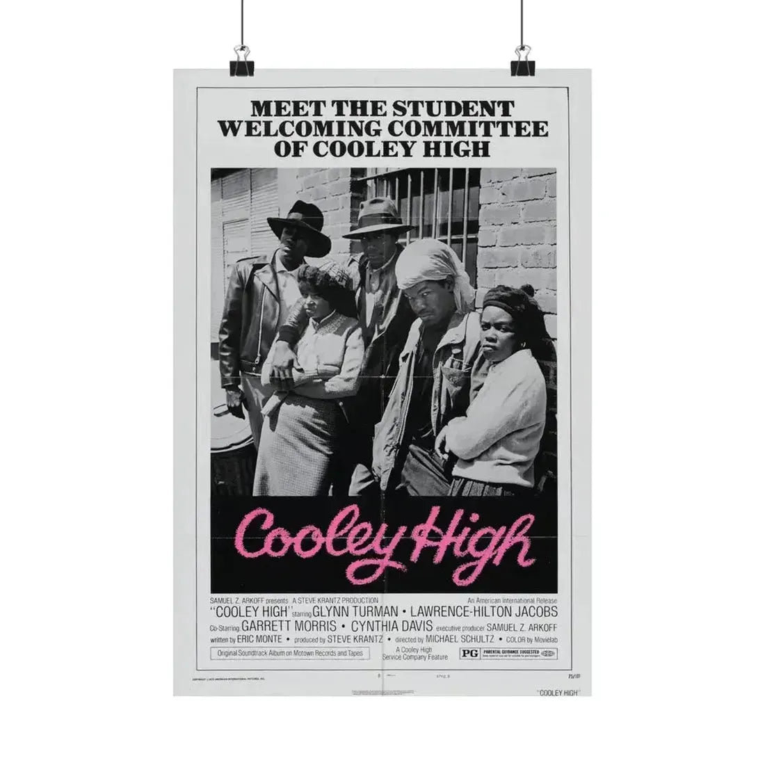 COOLEY HIGH (3) 1975 - Paper Movie Poster 12″ x 18″ Matte - The Sticker Space
