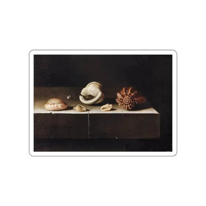 COORTE, Adriaen - Five Shells on a Slab of Stone (Artwork) STICKER Vinyl Die-Cut Decal - The Sticker Space