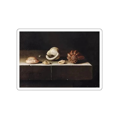 COORTE, Adriaen - Five Shells on a Slab of Stone (Artwork) STICKER Vinyl Die-Cut Decal - The Sticker Space