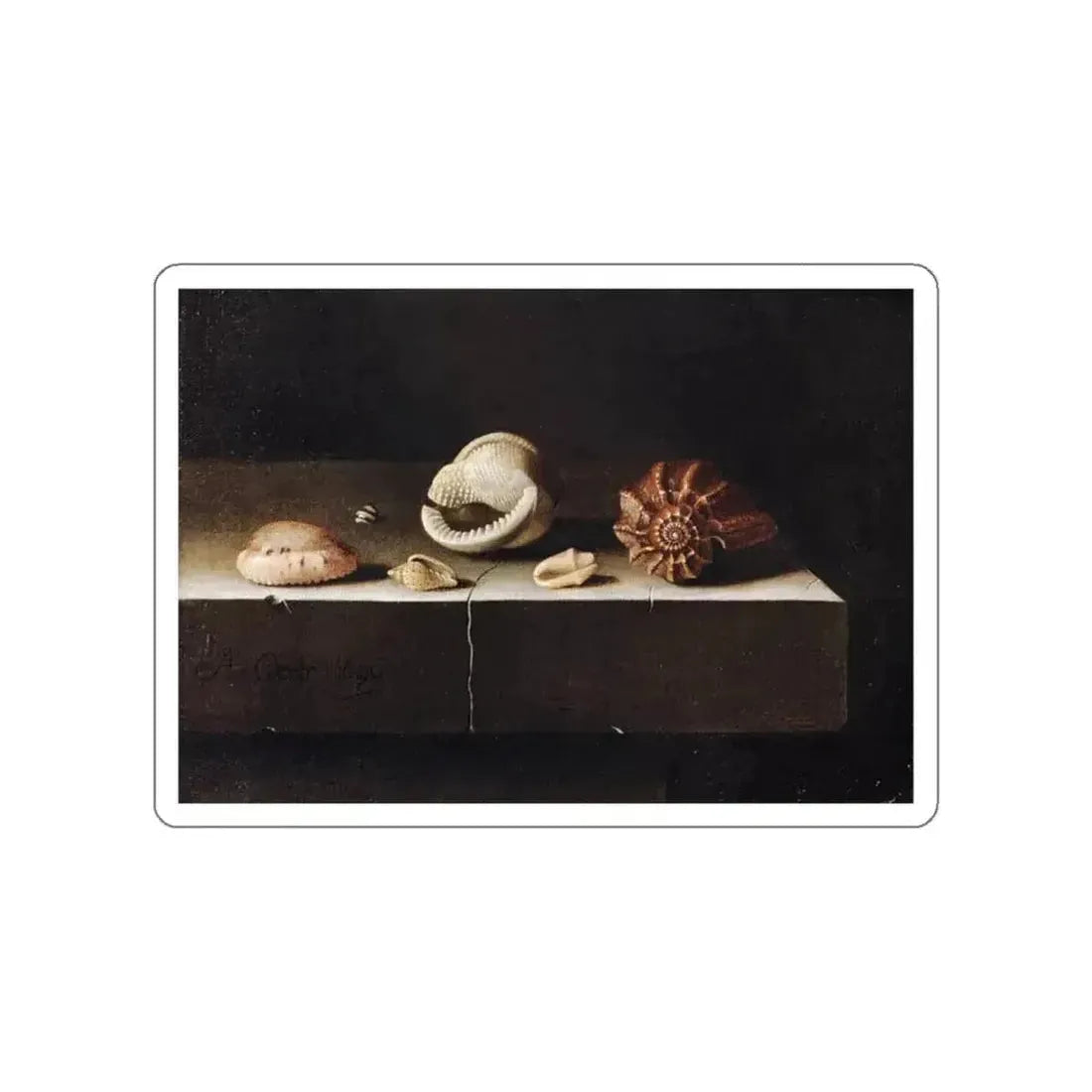 COORTE, Adriaen - Five Shells on a Slab of Stone (Artwork) STICKER Vinyl Die-Cut Decal - The Sticker Space