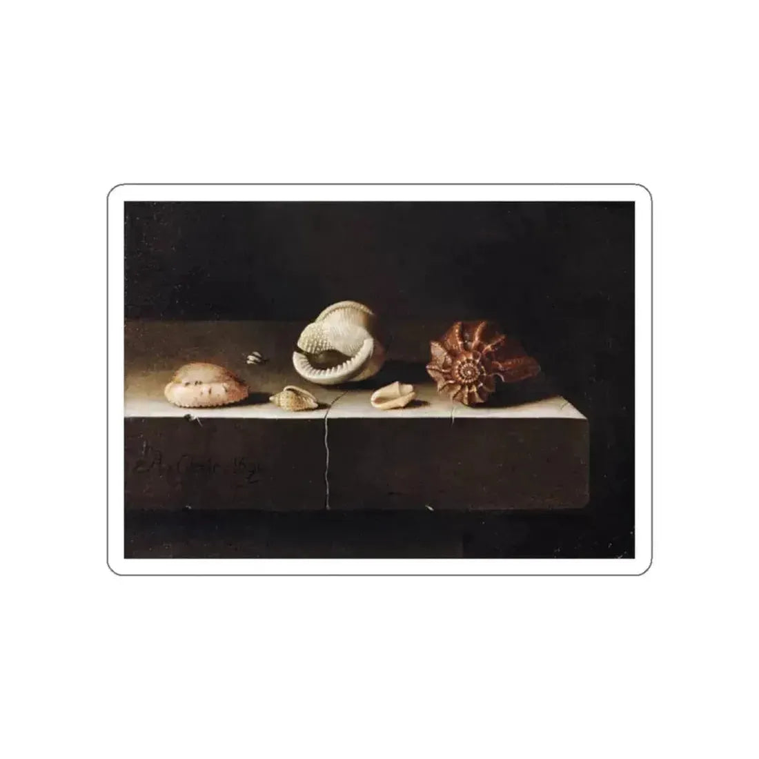 COORTE, Adriaen - Five Shells on a Slab of Stone (Artwork) STICKER Vinyl Die-Cut Decal White Die-Cut 2 Inch - The Sticker Space