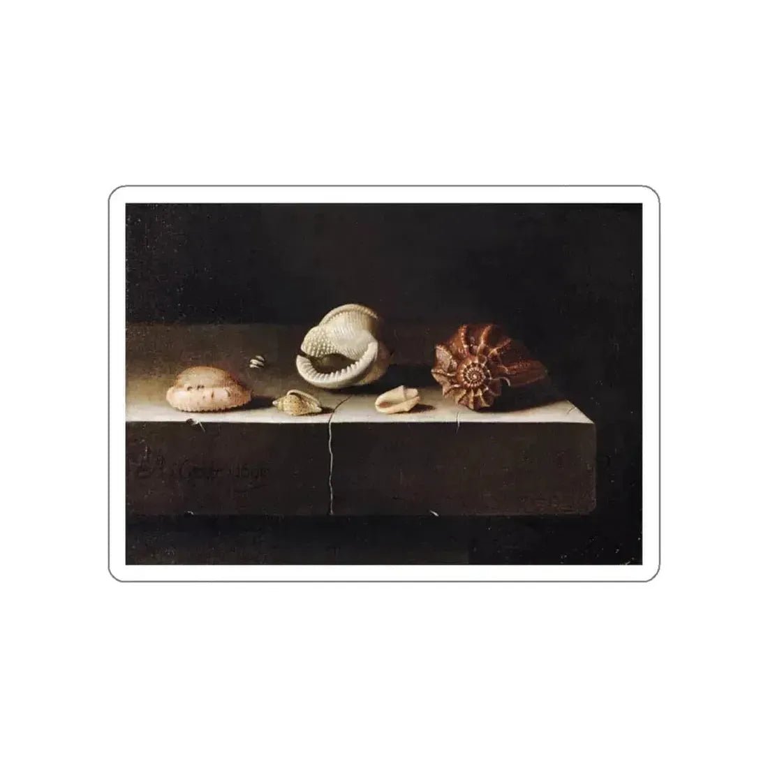 COORTE, Adriaen - Five Shells on a Slab of Stone (Artwork) STICKER Vinyl Die-Cut Decal White Die-Cut 4 Inch - The Sticker Space