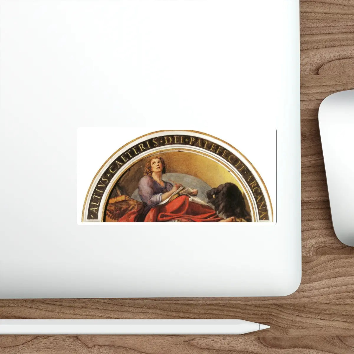 SKU:26854121990445605465 Sticker types:White Shape:Die-Cut Sizes:5" × 5"