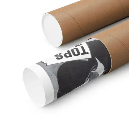 CORRIDORS OF BLOOD (2) 1958 - Paper Movie Poster - The Sticker Space