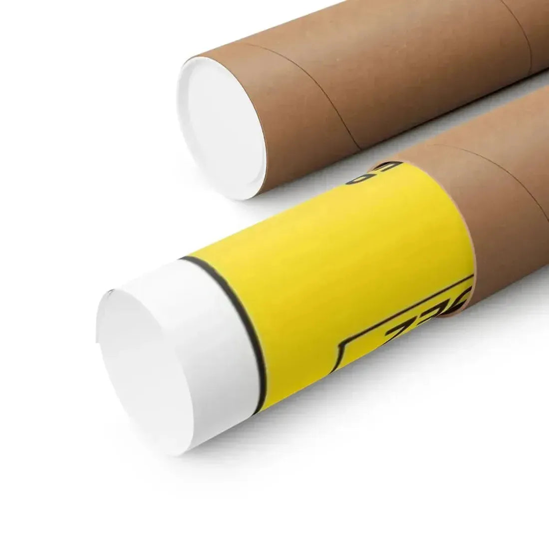 COUNTRY MUSIC DAUGHTER (NASHVILLE GIRL) 1976 - Paper Movie Poster - The Sticker Space