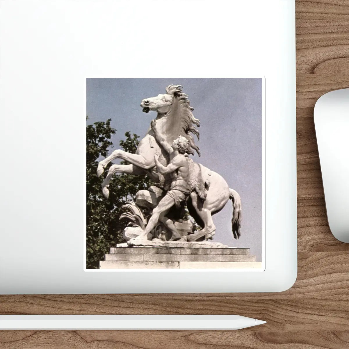 SKU:14897323123472814164 Sticker types:White Shape:Die-Cut Sizes:5" × 5"