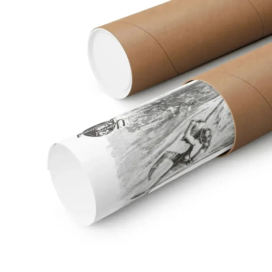 CREATURE FROM THE BLACK LAGOON (8) 1954 - Paper Movie Poster - The Sticker Space