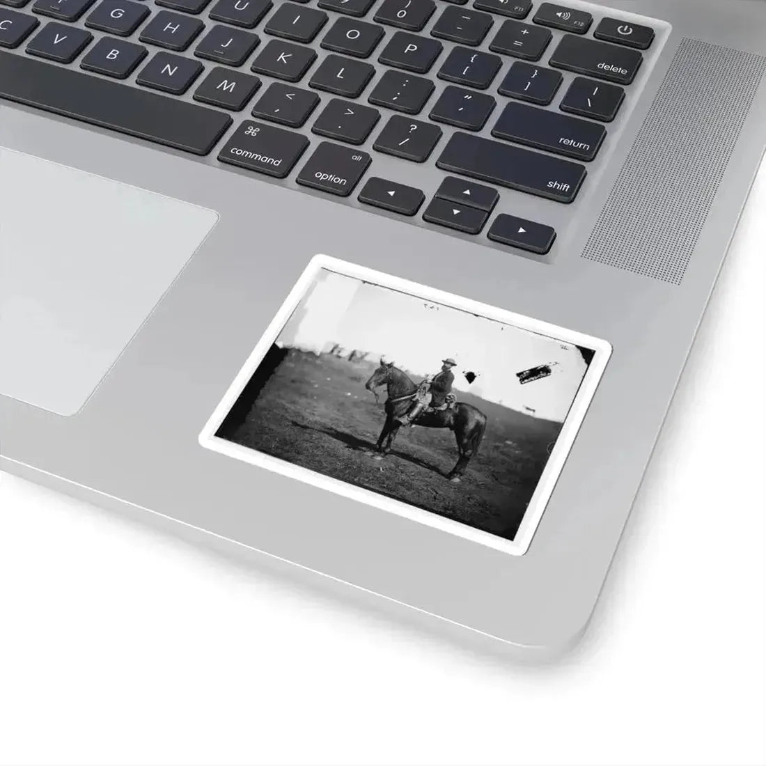 Culpeper, Virginia. William Wilson, Scout, Headquarters, Army of the Potomac (U.S. Civil War) STICKER Vinyl Kiss-Cut Decal - The Sticker Space