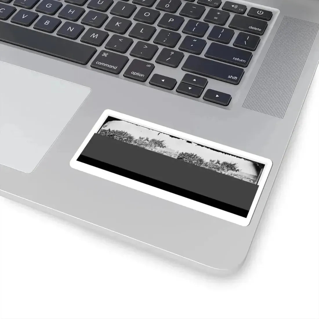 Cumberland Landing, Va. Federal Encampment; View From Tree (U.S. Civil War) STICKER Vinyl Kiss-Cut Decal - The Sticker Space