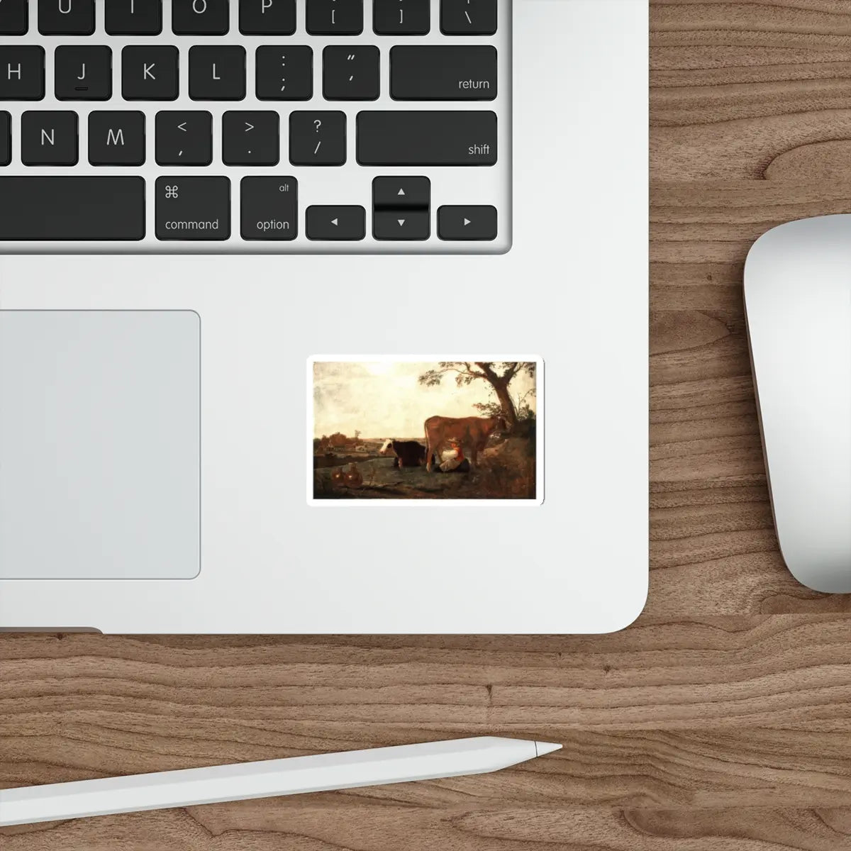 SKU:21642096427942636305 Sticker types:White Shape:Die-Cut Sizes:3" × 3"