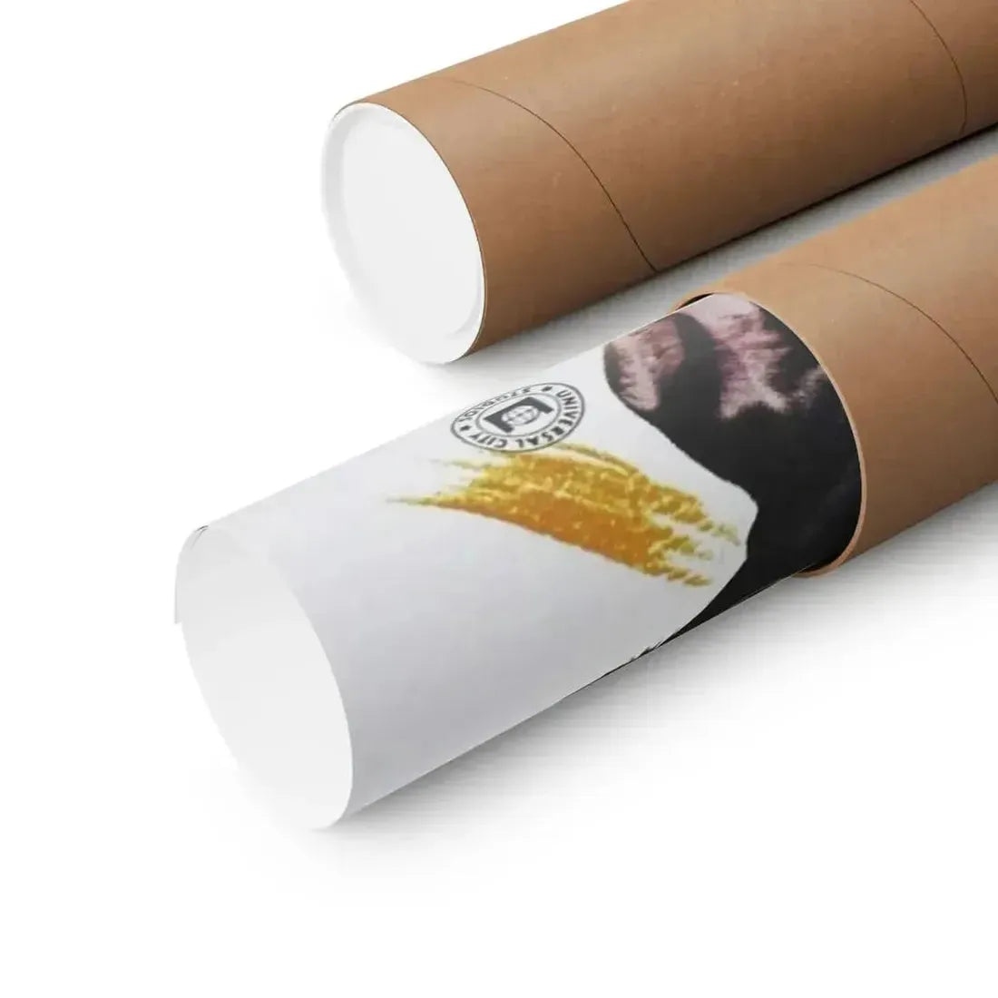 DARK INTRUDER 1965 - Paper Movie Poster - The Sticker Space