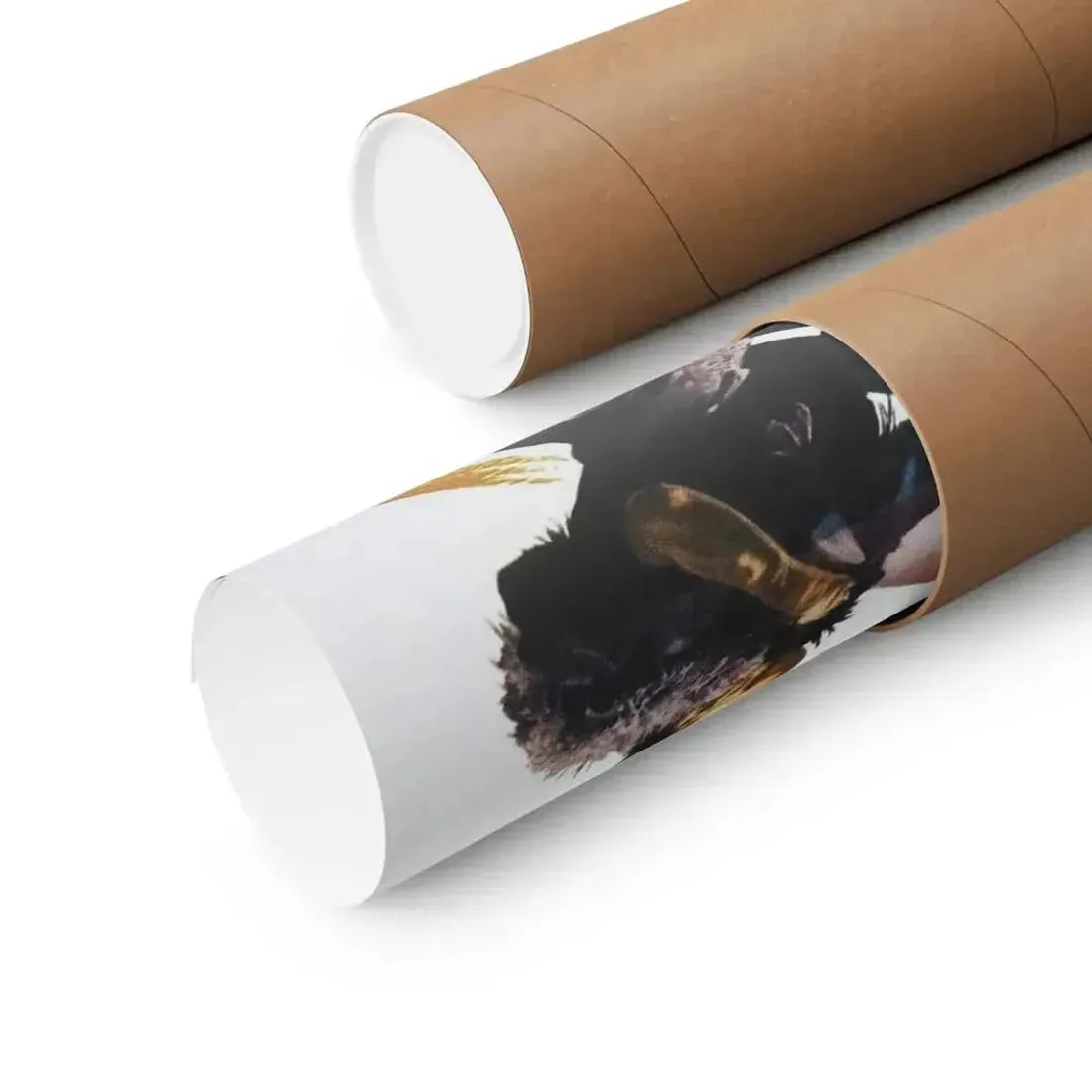 DARK INTRUDER 1965 - Paper Movie Poster - The Sticker Space