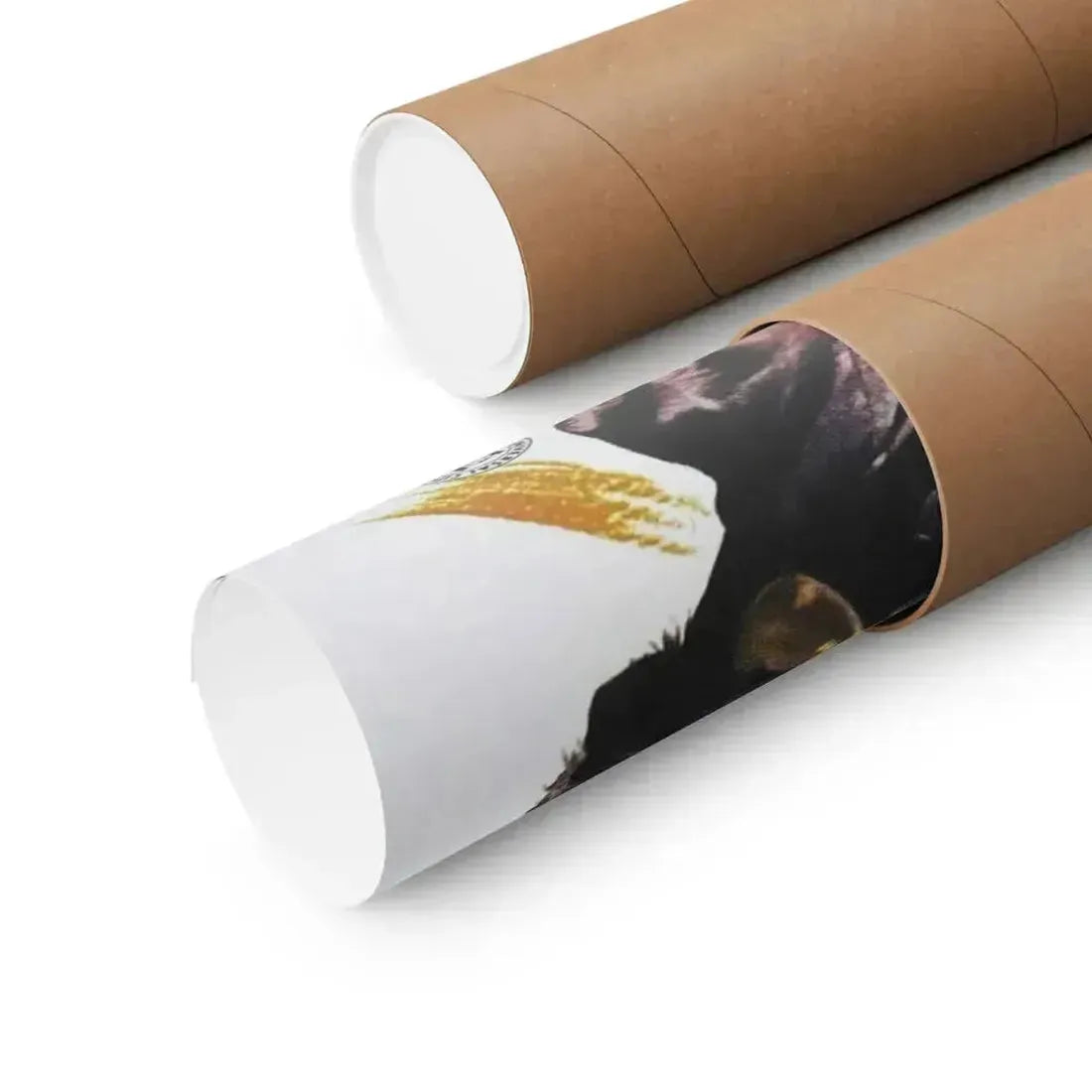 DARK INTRUDER 1965 - Paper Movie Poster - The Sticker Space