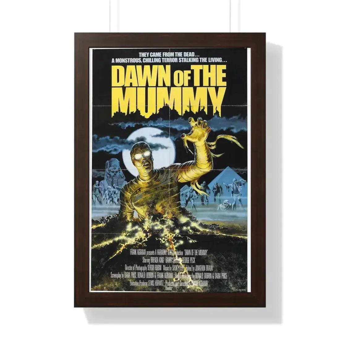 DAWN OF THE MUMMY 1981 - Framed Movie Poster - The Sticker Space
