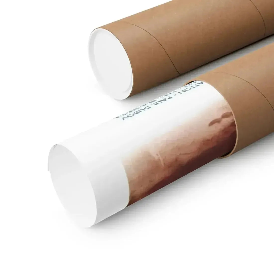 DAY THE WORLD ENDED 1955 - Paper Movie Poster - The Sticker Space