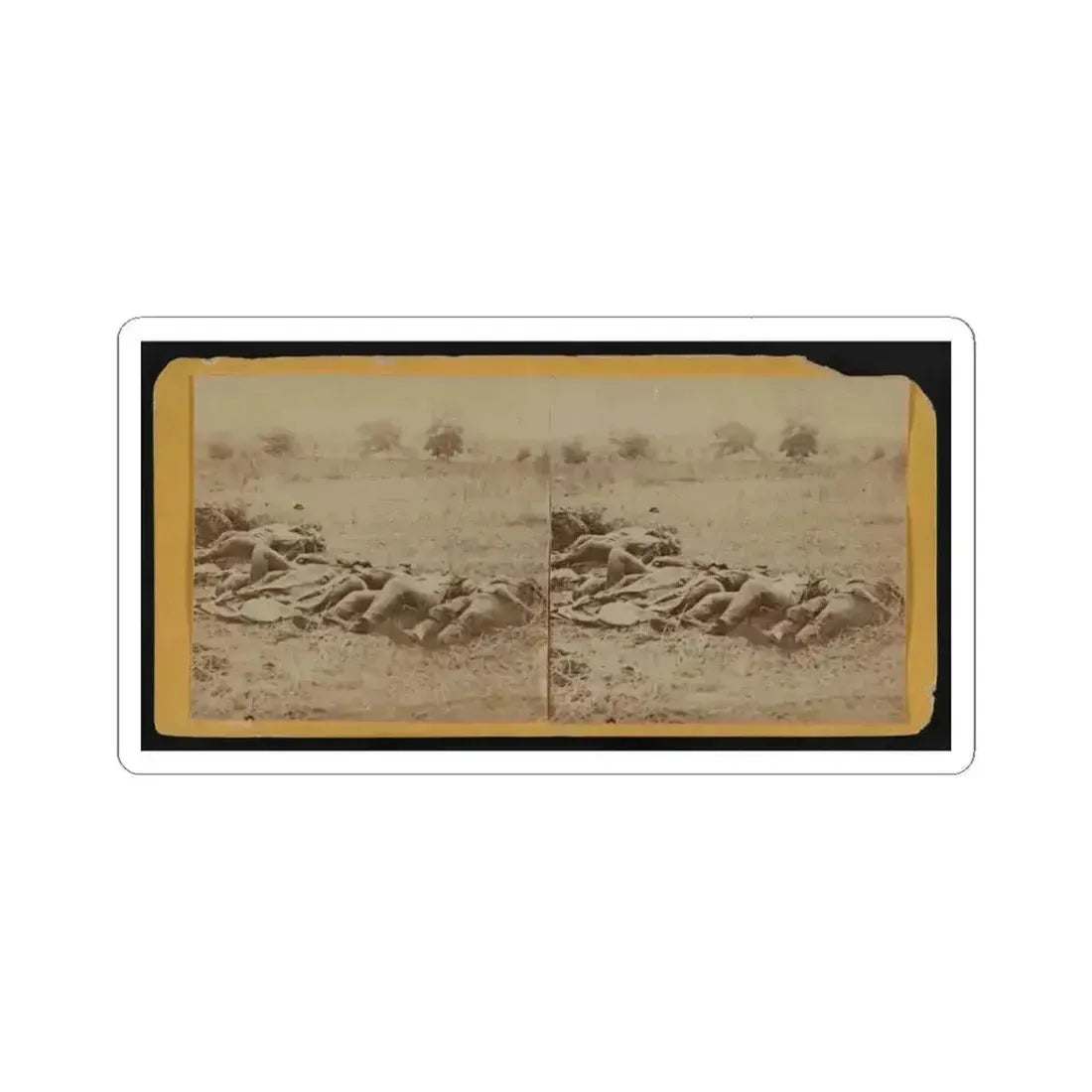 Dead Soldiers Lying Side by Side in a Field (U.S. Civil War) STICKER Vinyl Kiss-Cut Decal 4 Inch White - The Sticker Space