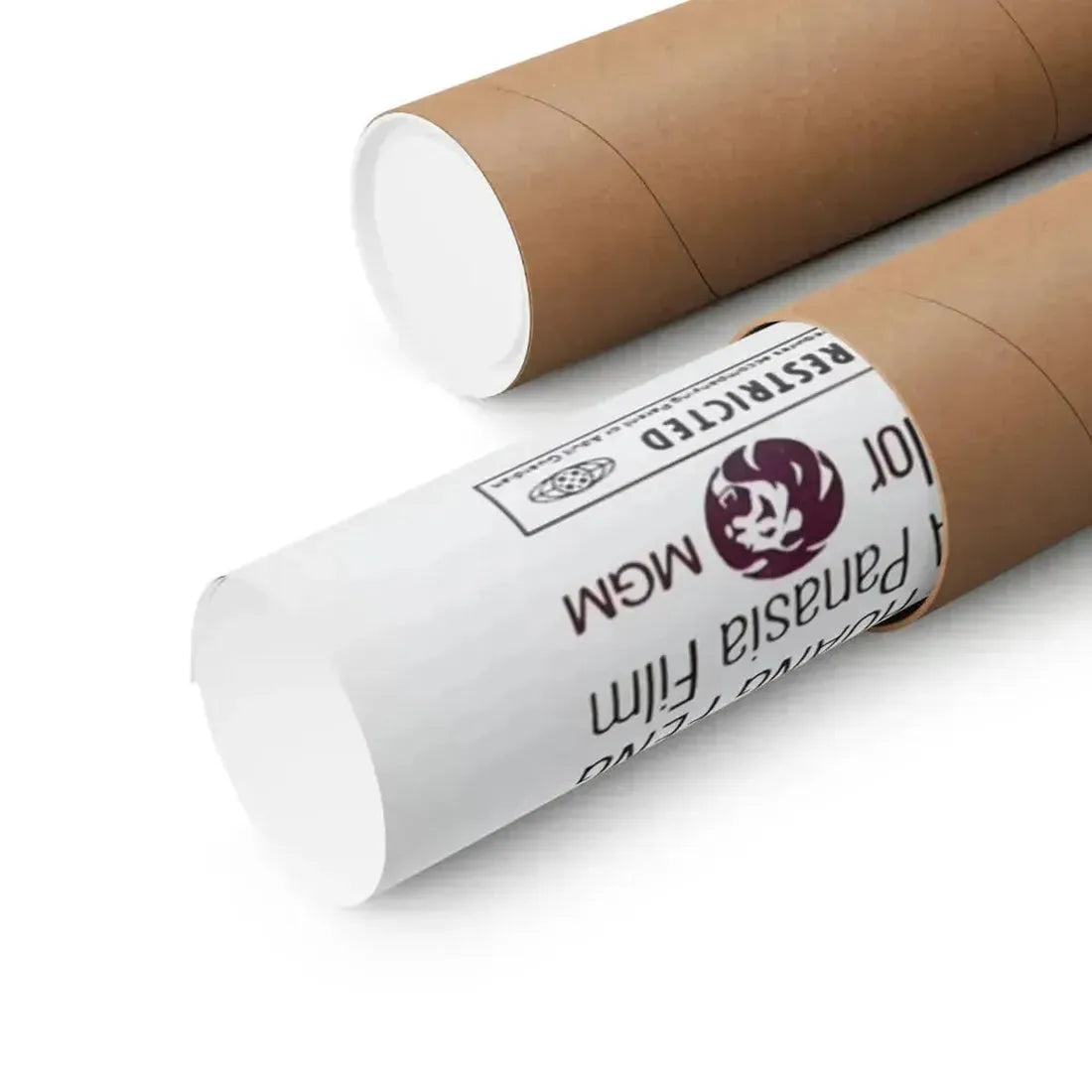 DEADLY CHINA DOLL 1972 - Paper Movie Poster - The Sticker Space