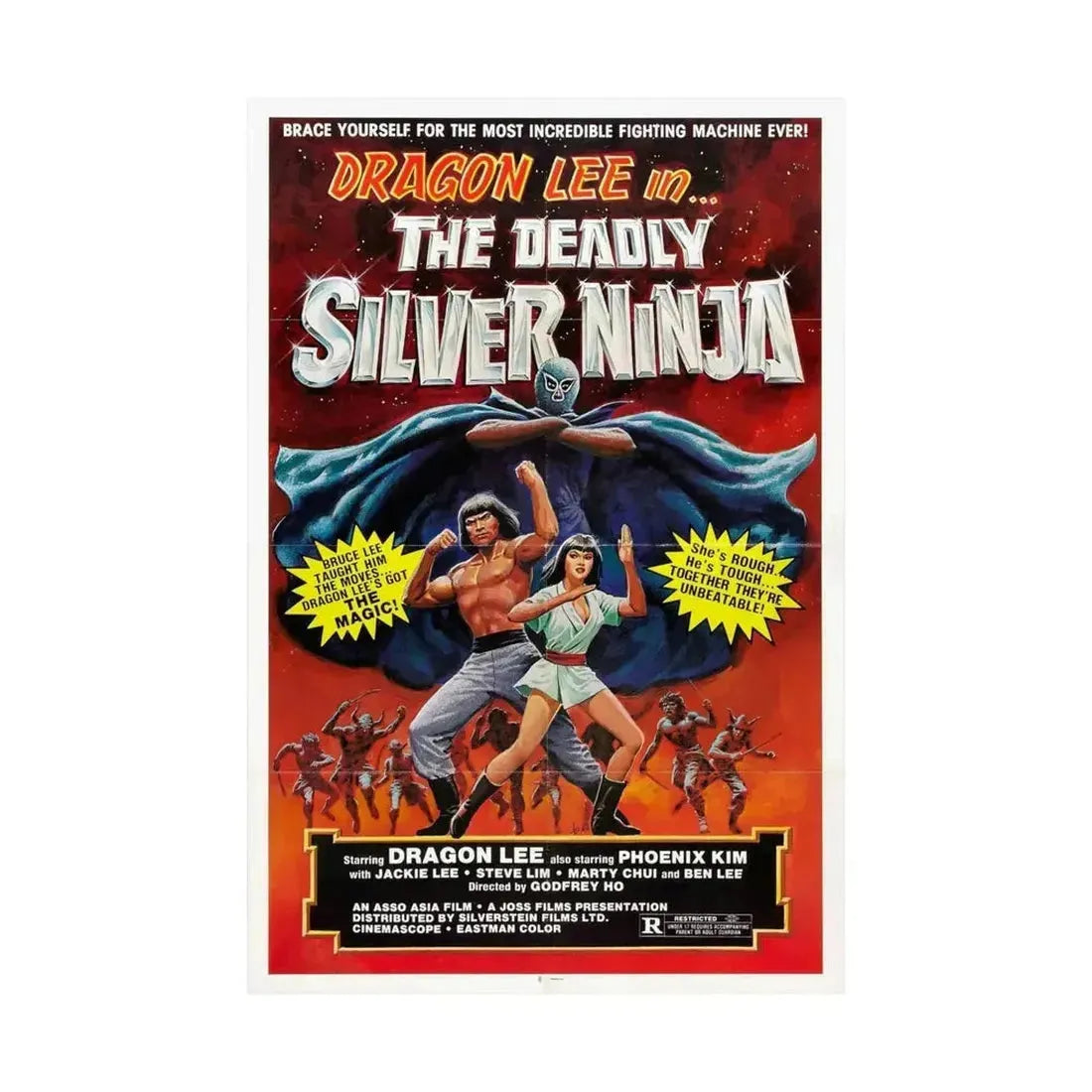 DEADLY SILVER NINJA 1978 - Paper Movie Poster - The Sticker Space