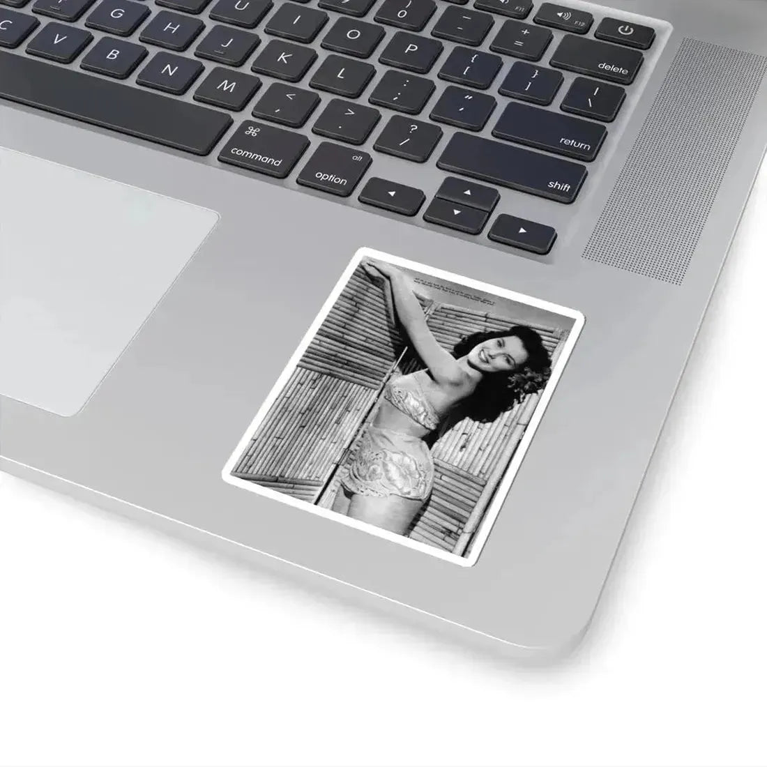 Debra Paget #172 (Vintage Female Icon) STICKER Vinyl Kiss-Cut Decal - The Sticker Space