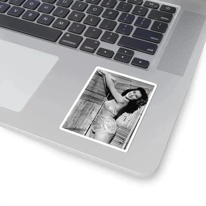 Debra Paget #172 (Vintage Female Icon) STICKER Vinyl Kiss-Cut Decal - The Sticker Space