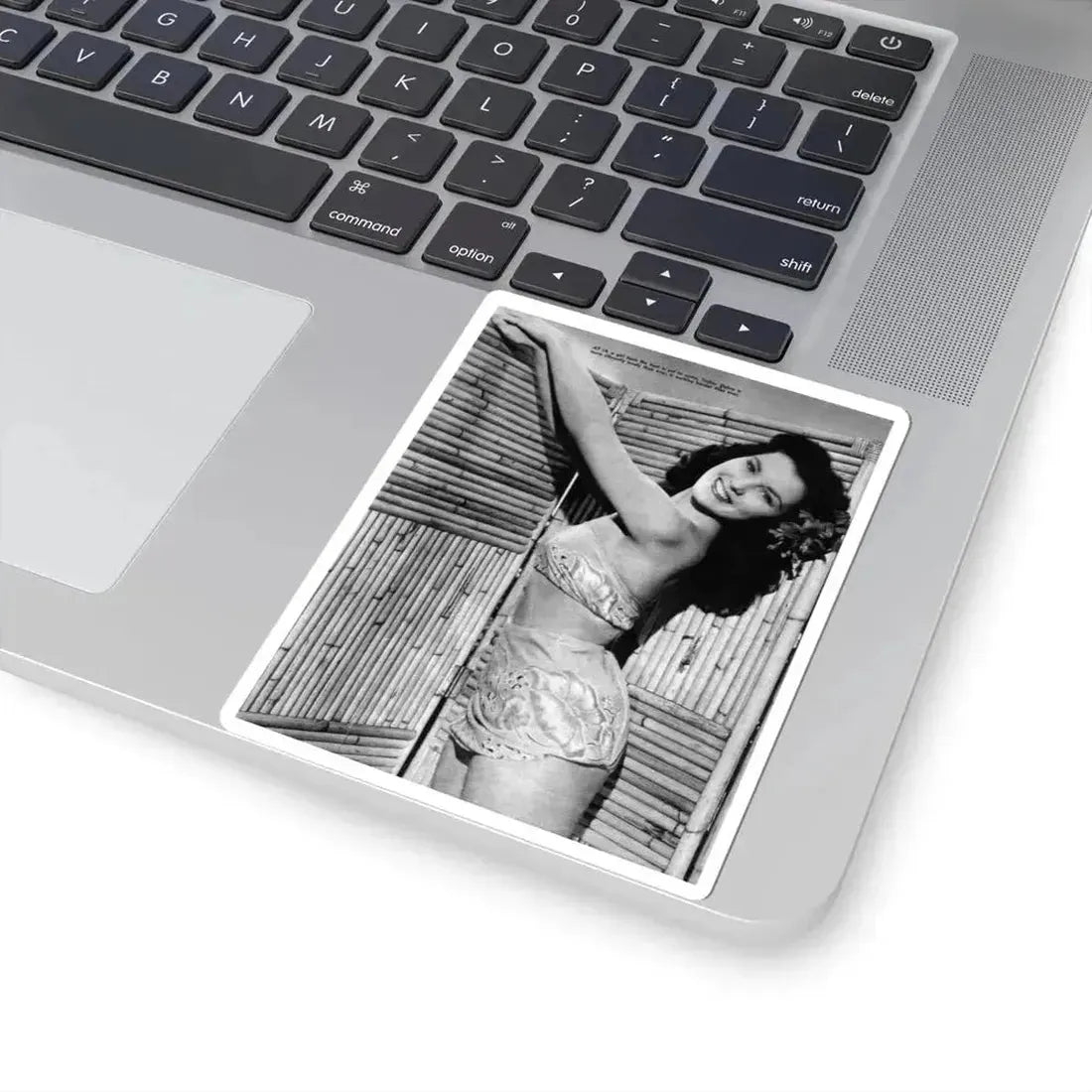 Debra Paget #172 (Vintage Female Icon) STICKER Vinyl Kiss-Cut Decal - The Sticker Space