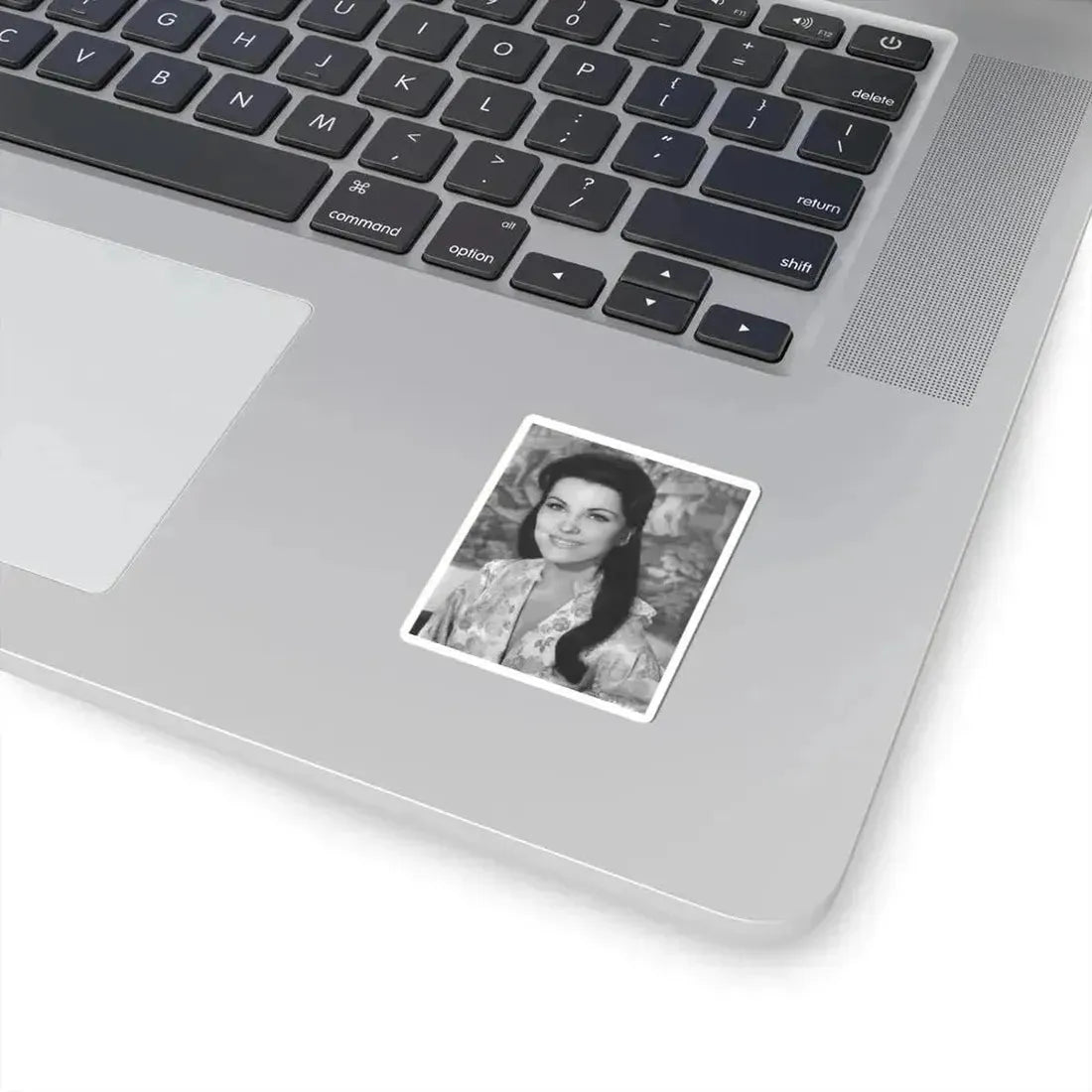 Debra Paget #175 (Vintage Female Icon) STICKER Vinyl Kiss-Cut Decal - The Sticker Space
